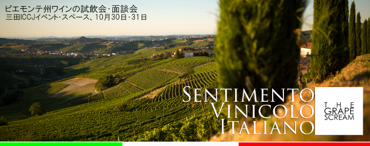 Sentimento Vinicolo Italiano B2B wine workshop