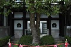Poli-Torino-In-Kyoto-2